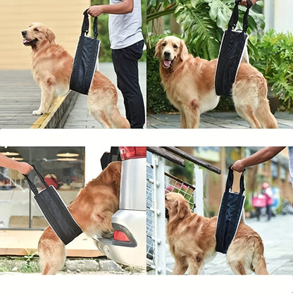 Owner walking a golden retriever outdoors, using the PawLift sling to support the dog's back legs