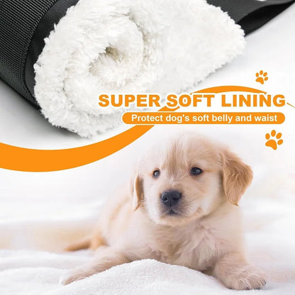 Close-up of the soft fleece lining that sits against the dog's belly